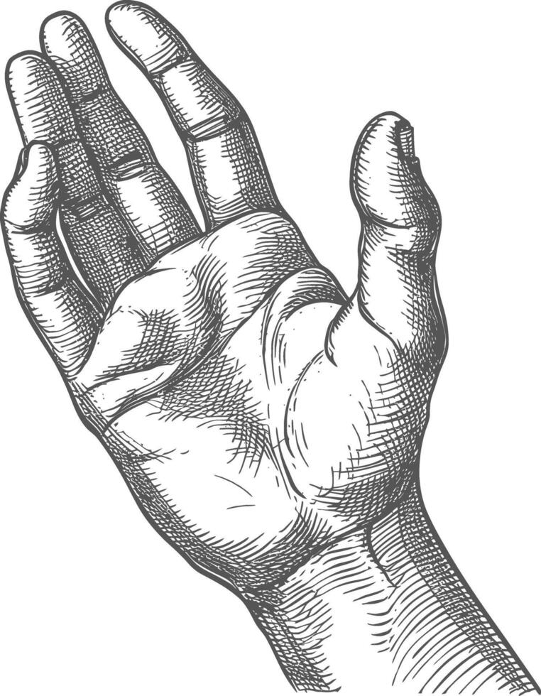 AI generated hand gesture in old engraving style for drawing reference vector