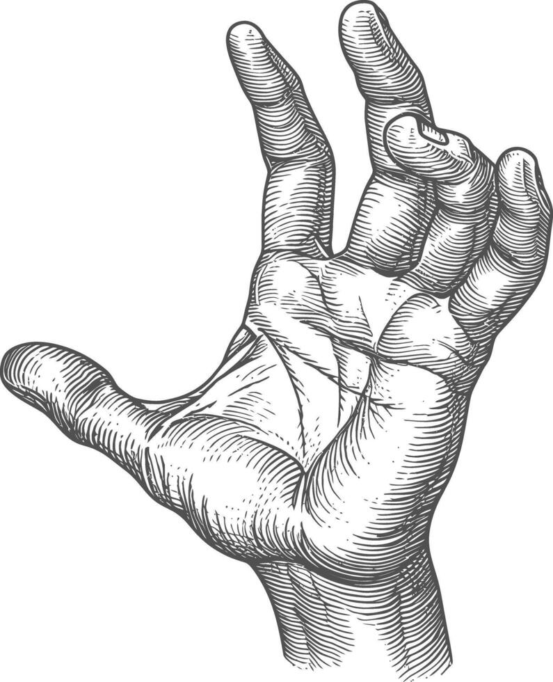 AI generated hand gesture in old engraving style for drawing reference vector