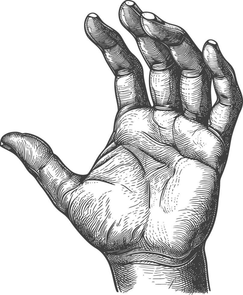 AI generated hand gesture in old engraving style for drawing reference vector