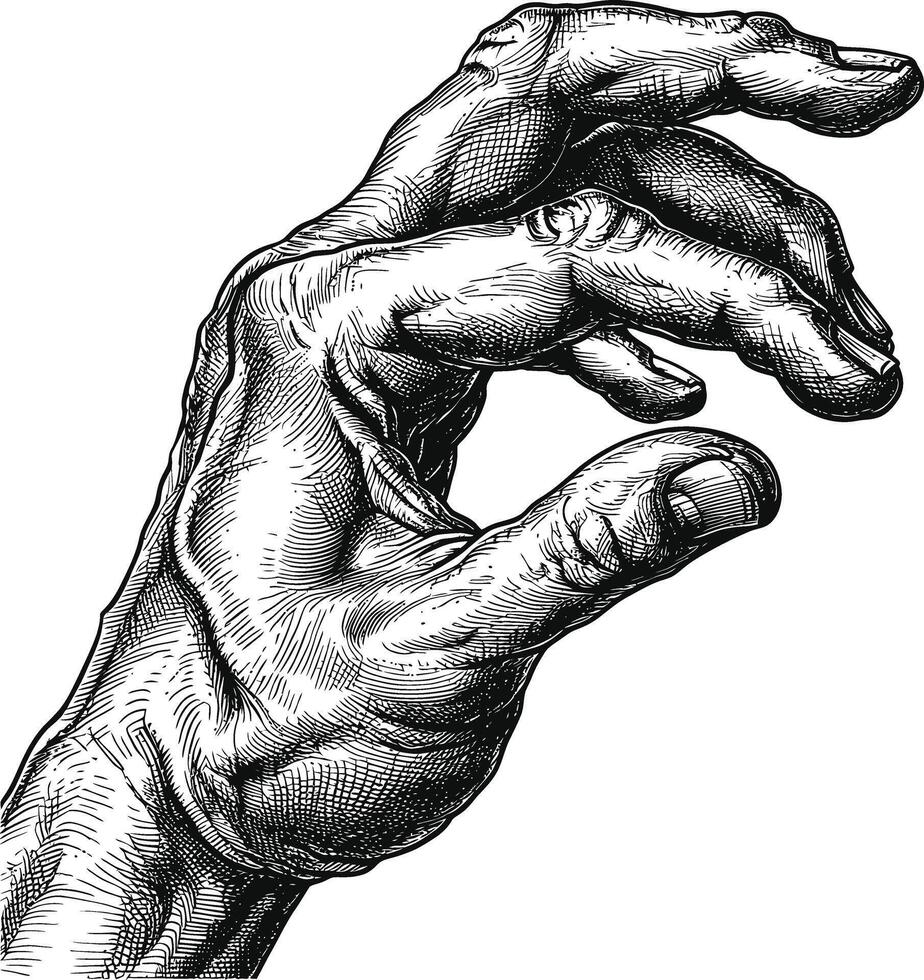 AI generated hand gesture in old engraving style for drawing reference black color only vector