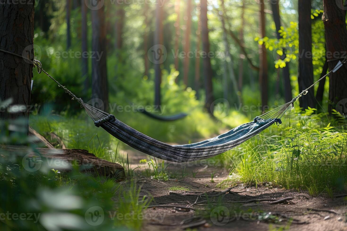 AI generated Getting Started with Camping Hammock professional photography photo