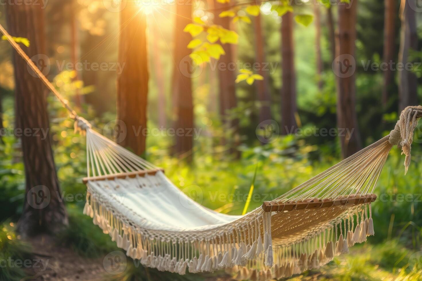 AI generated Getting Started with Camping Hammock professional photography photo