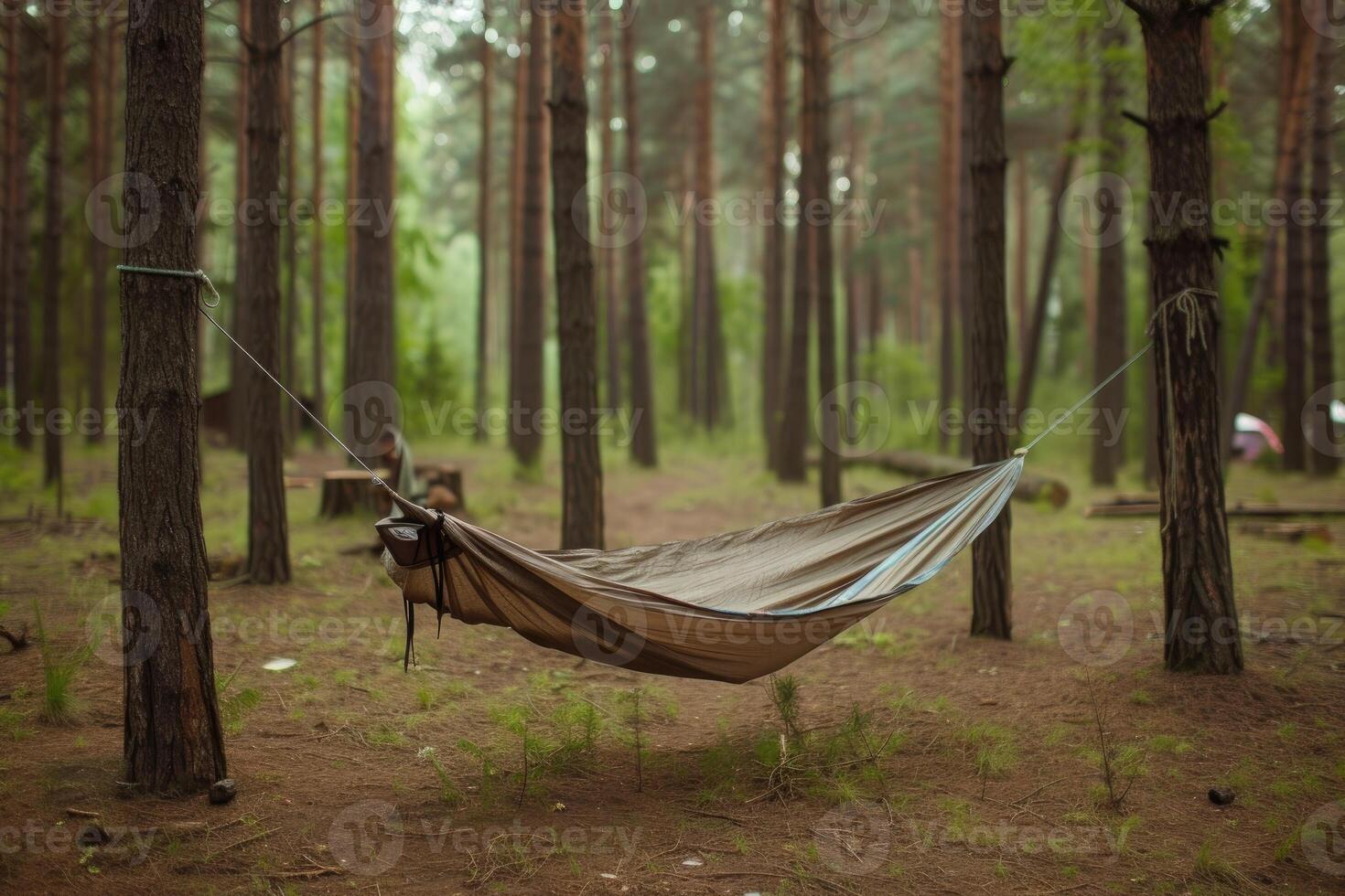 AI generated Getting Started with Camping Hammock professional photography photo