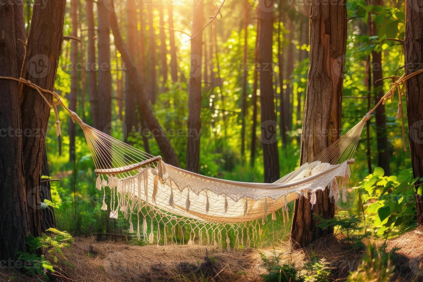 AI generated Getting Started with Camping Hammock professional photography photo