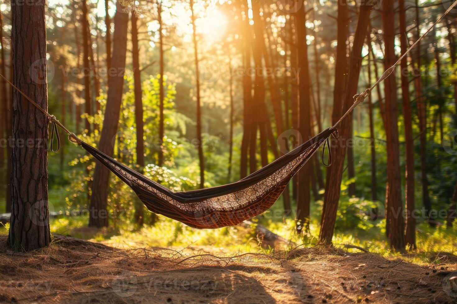 AI generated Getting Started with Camping Hammock professional photography photo
