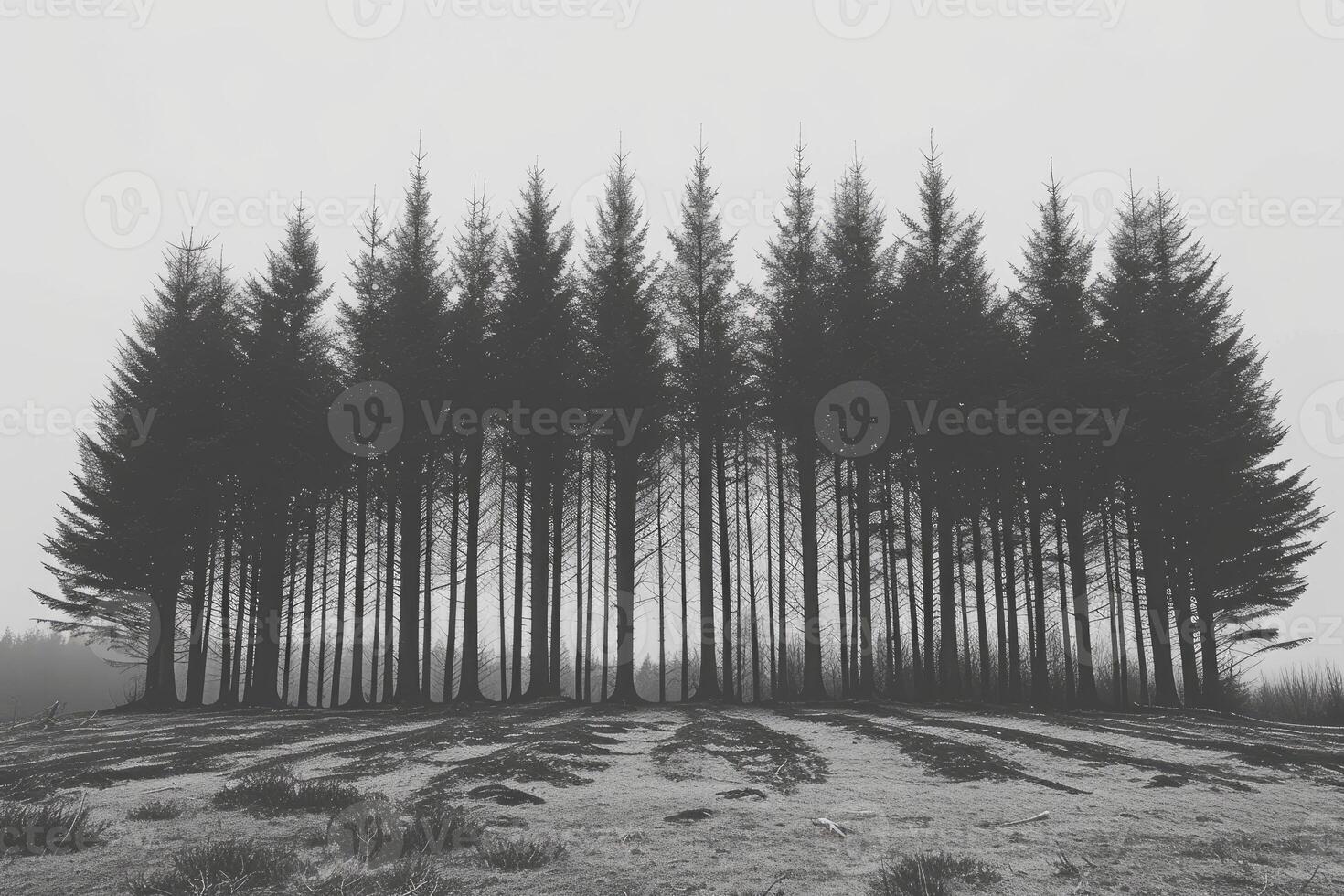 AI generated scary green dark forest nature professional photography photo