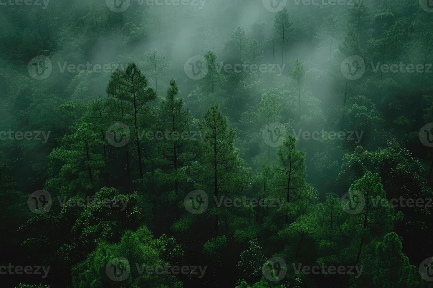 AI generated scary green dark forest nature professional photography photo