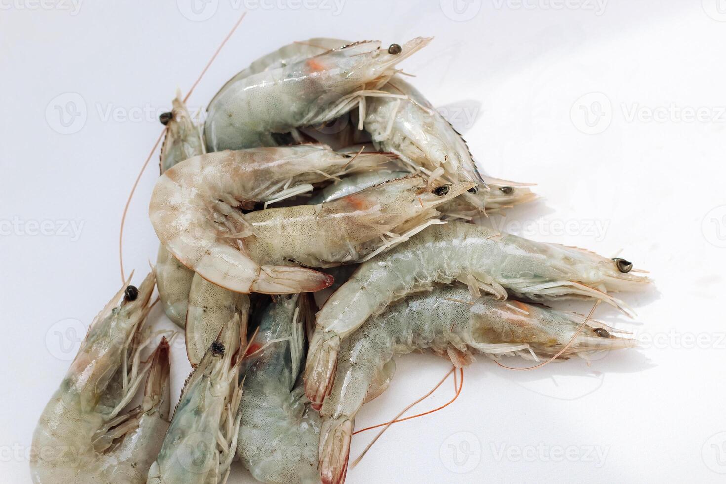 Raw large king prawns on a plate photo