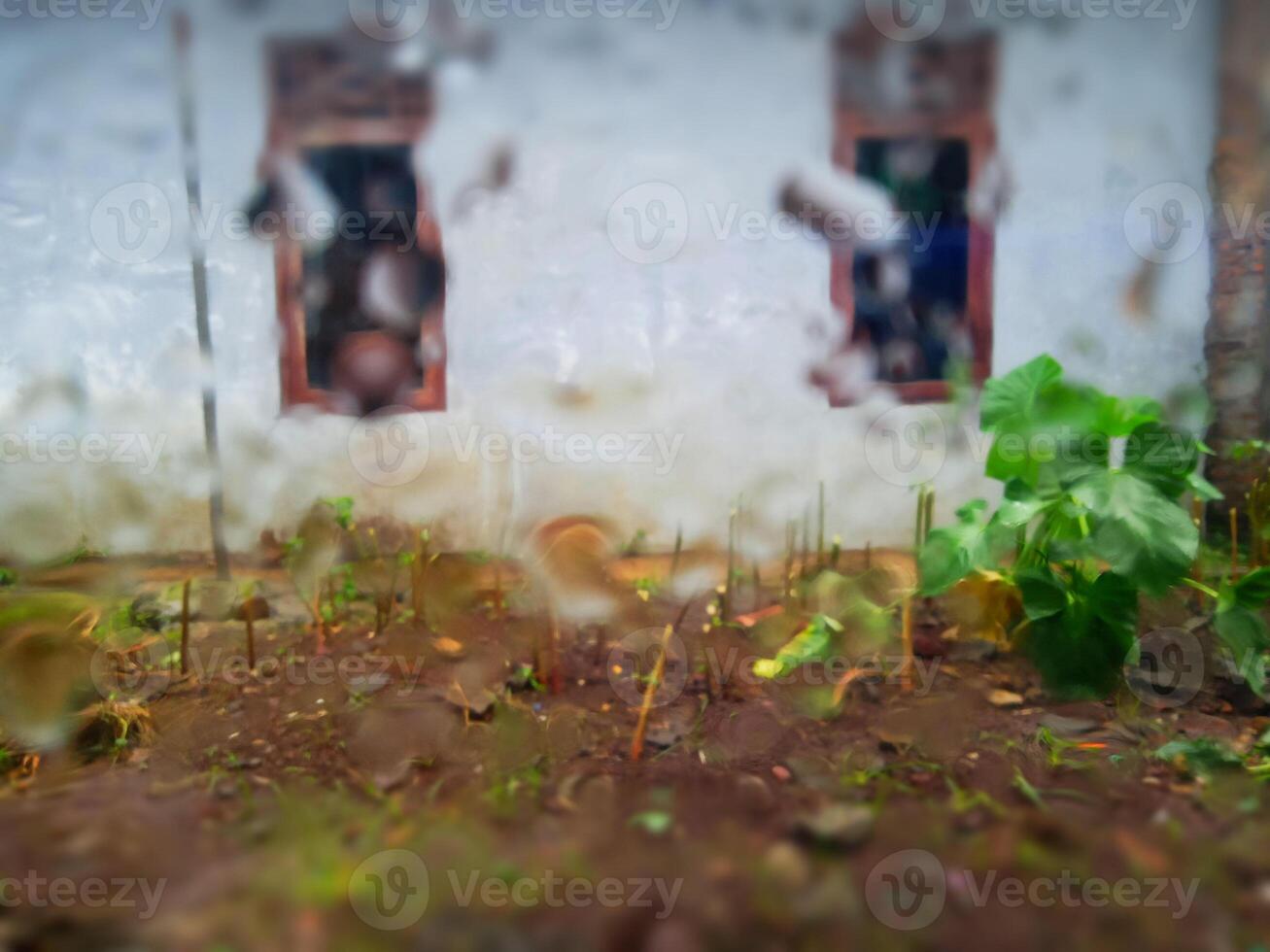 capturar mojado casa jardín con un húmedo lente foto