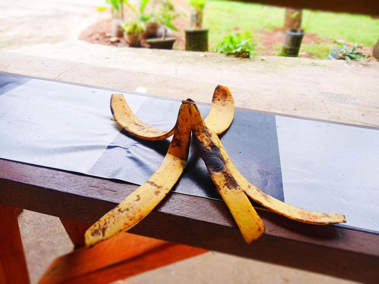 Stylish Banana Peel on a Chair Photo
