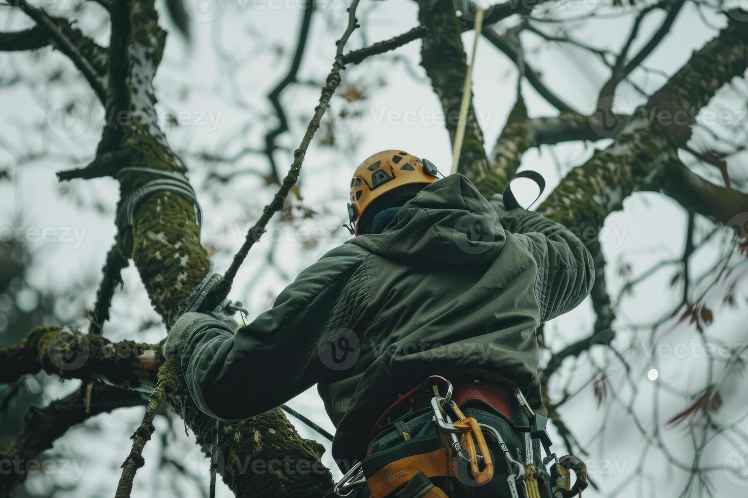 AI generated Arborist working at height in tree. photo