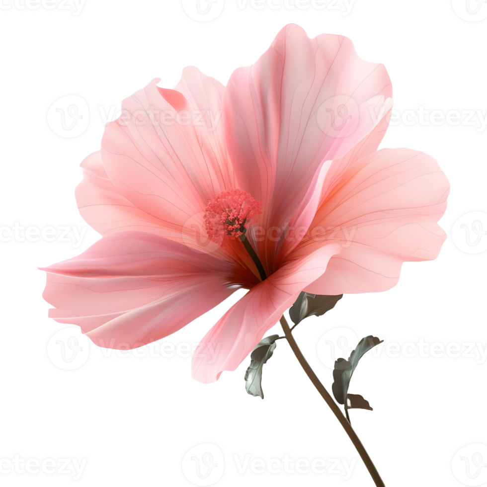 AI generated Pink Magnolia Flower on Transparent background - Ai Generated png