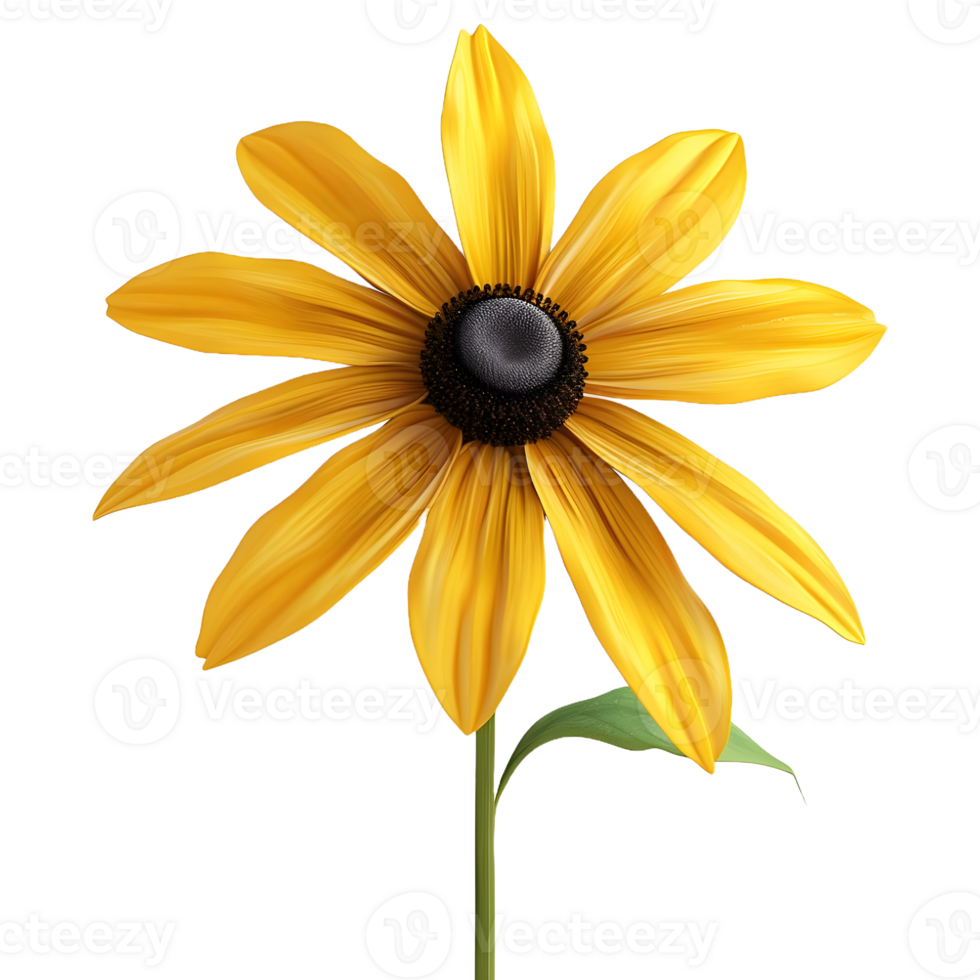 AI generated Sunflower on Transparent background - Ai Generated png