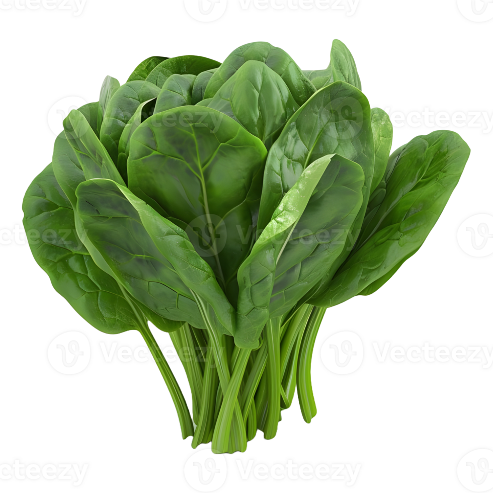 AI generated Spinach Leaves on Transparent background - Ai Generated png