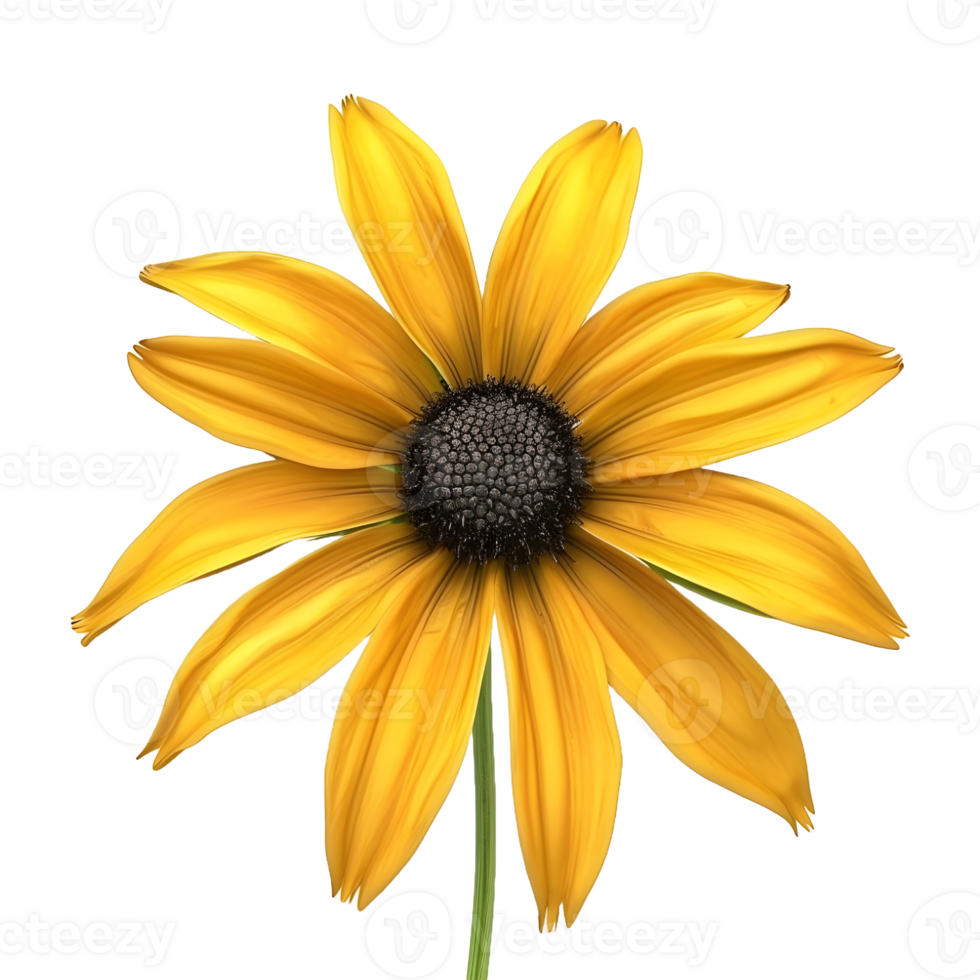 AI generated Sunflower on Transparent background - Ai Generated png