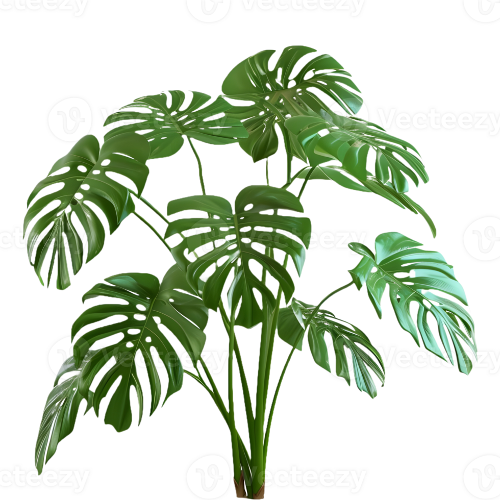 AI generated Monstera Leaves on Transparent background - Ai Generated png