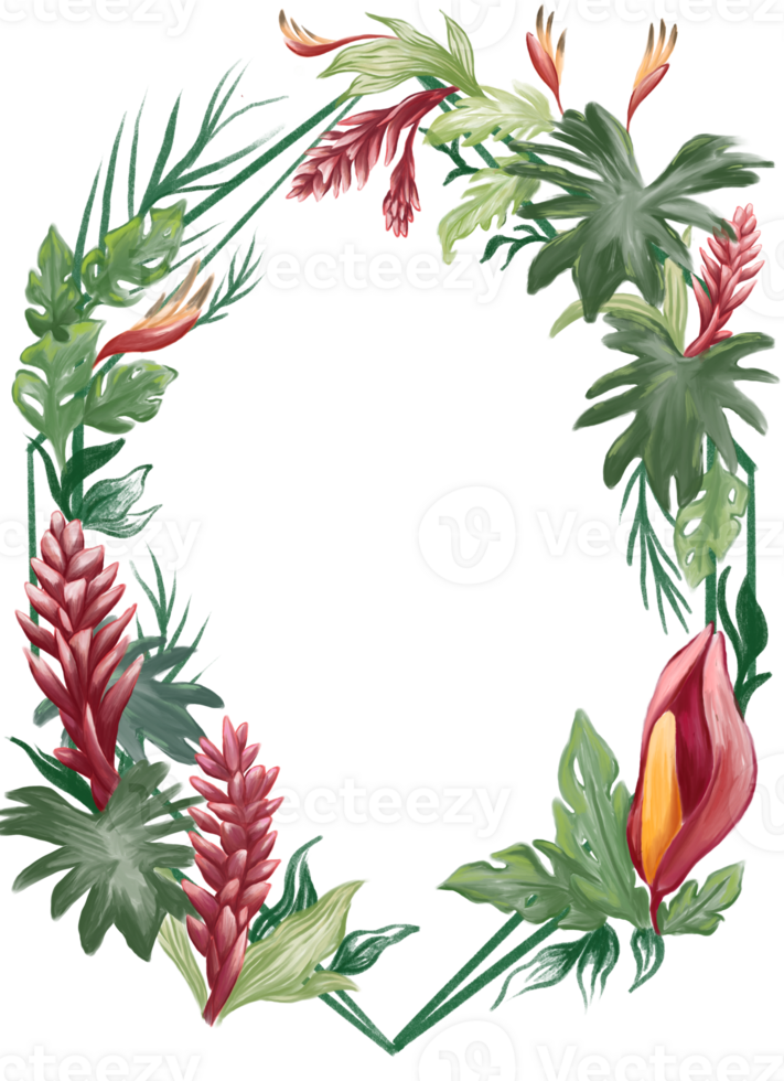 tropical fleur et plante frontière et Cadre illustration png