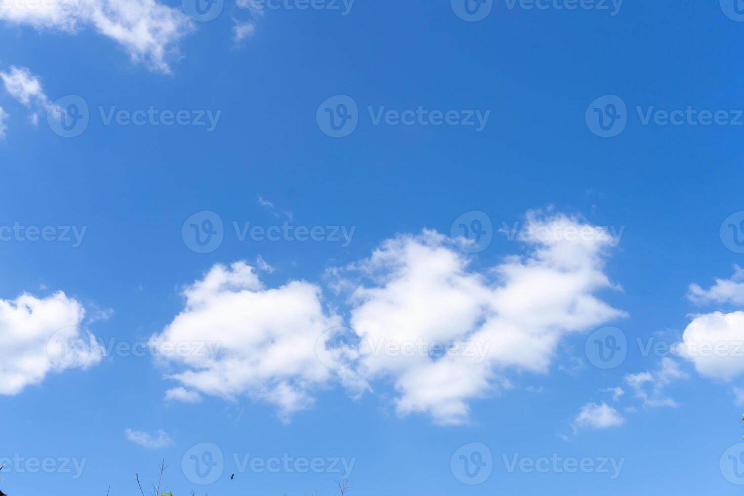 Beautiful blue sky with strange shape of clouds and small bird and trees in distance in the morning or evening used as natural background texture in decorative art work photo