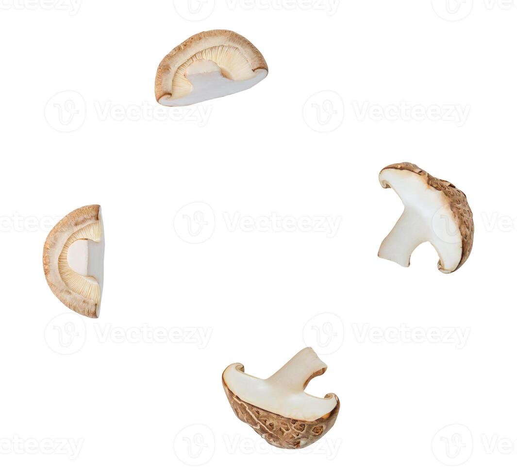 Top view set of shiitake mushroom halves or slices isolated on white background with clipping path photo