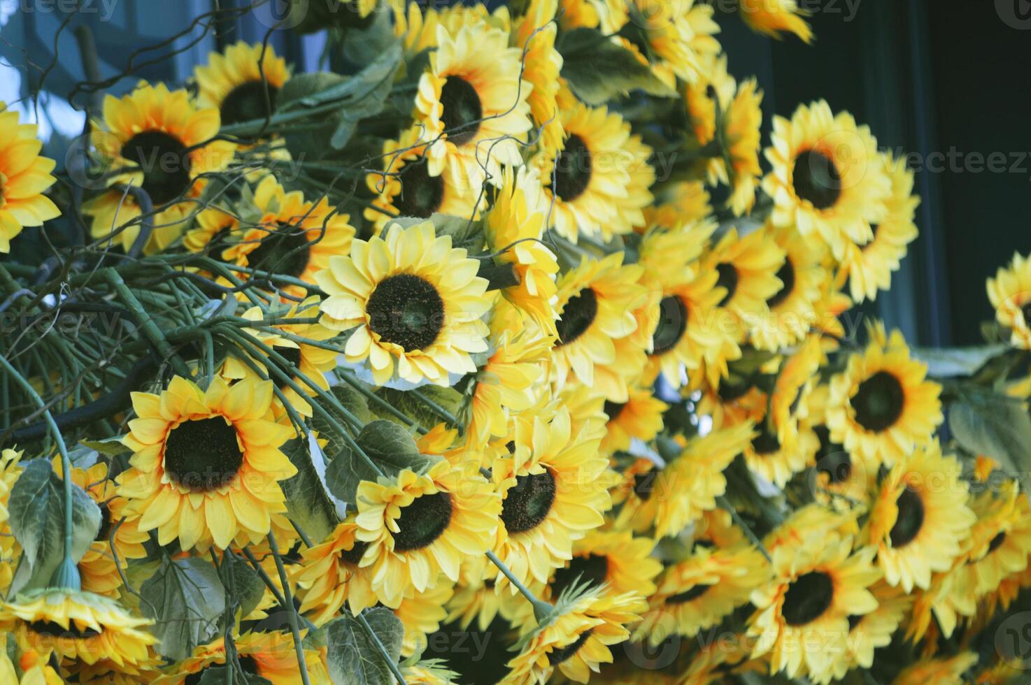 un montón de amarillo girasol flores decorativo decoración de el Entrada con artificial flores foto