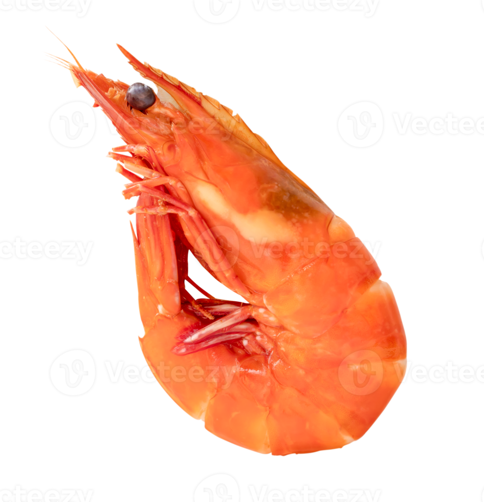 Red cooked or steamed prawn or shrimp isolated with clipping path in png file format