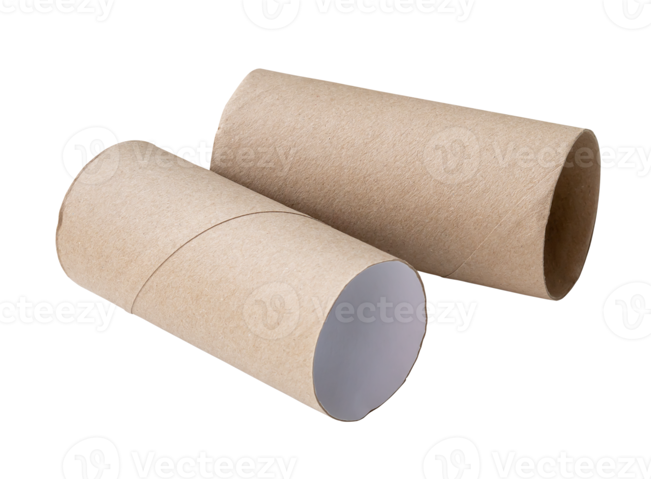 Tow tissue cores isolated with clipping path in png file format