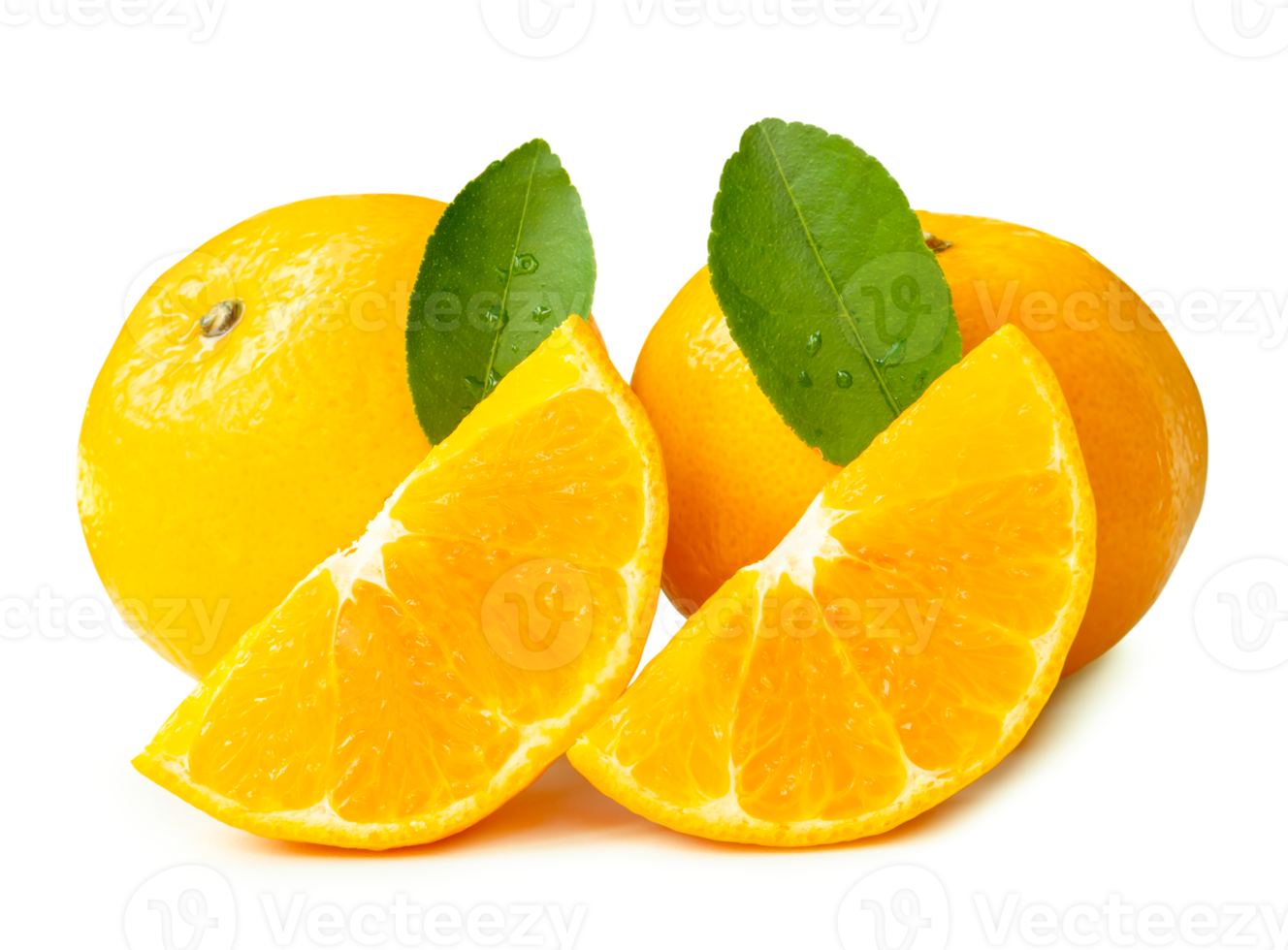 Front view of fresh shogun or tangerine mandarin orange fruits with slices or quarters and green leaves isolated with clipping path and shadow in png file format