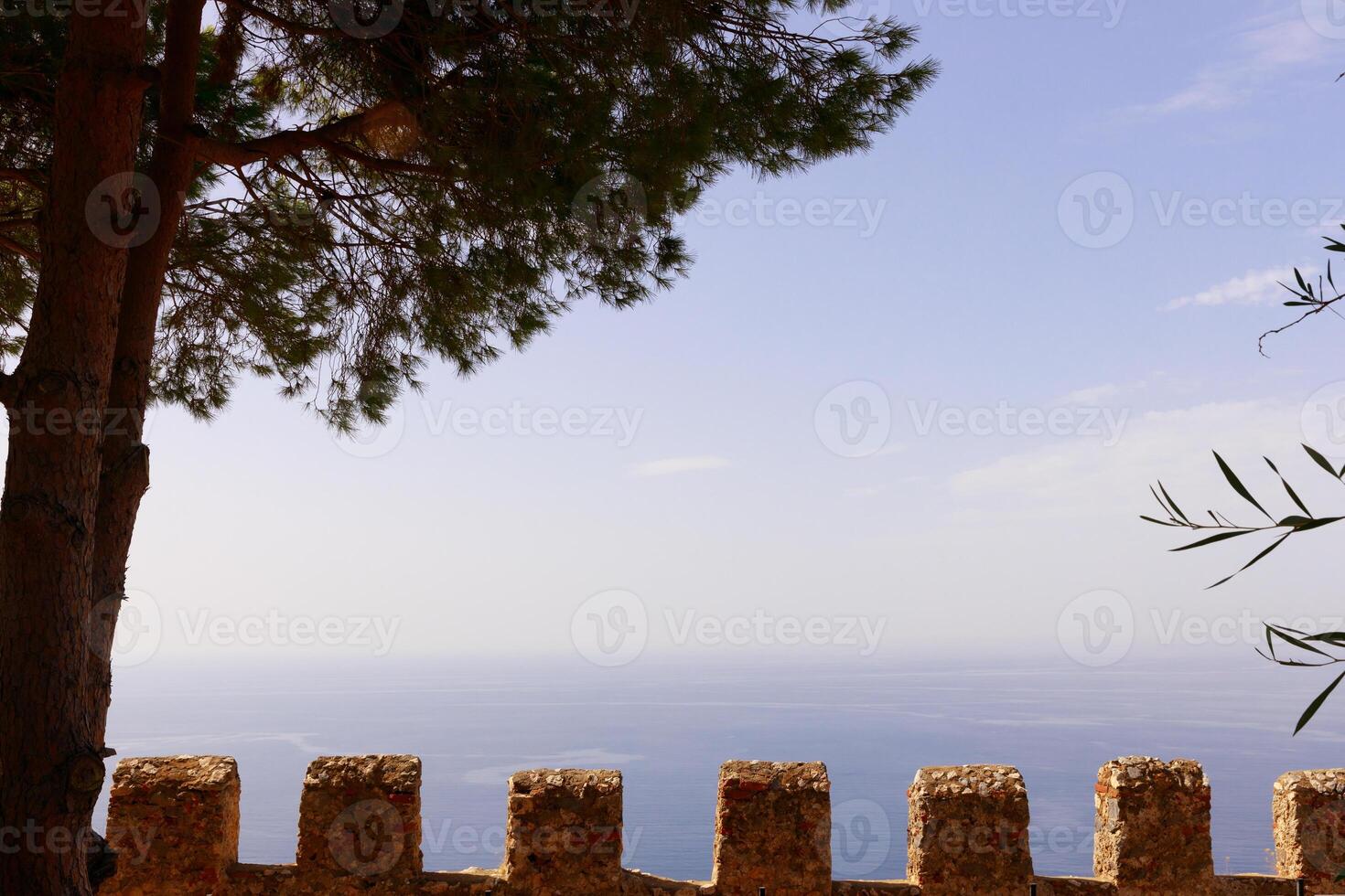 coniferous tree over the fence of the castle against the blue sky. High quality photo