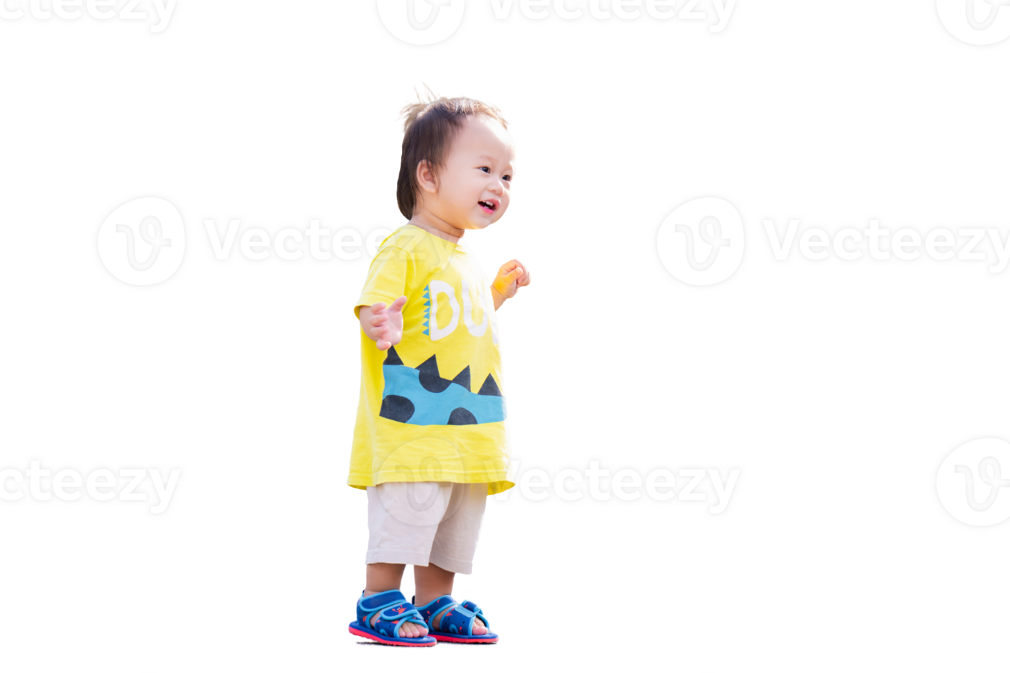 aanbiddelijk Aziatisch baby jongen staand glimlachen zoet, weinig kleuter tonen vreugde wanneer gaan voor een wandelen, Aan een zonnig dag, geïsoleerd achtergrond. kinderen oud 1 jaar. png