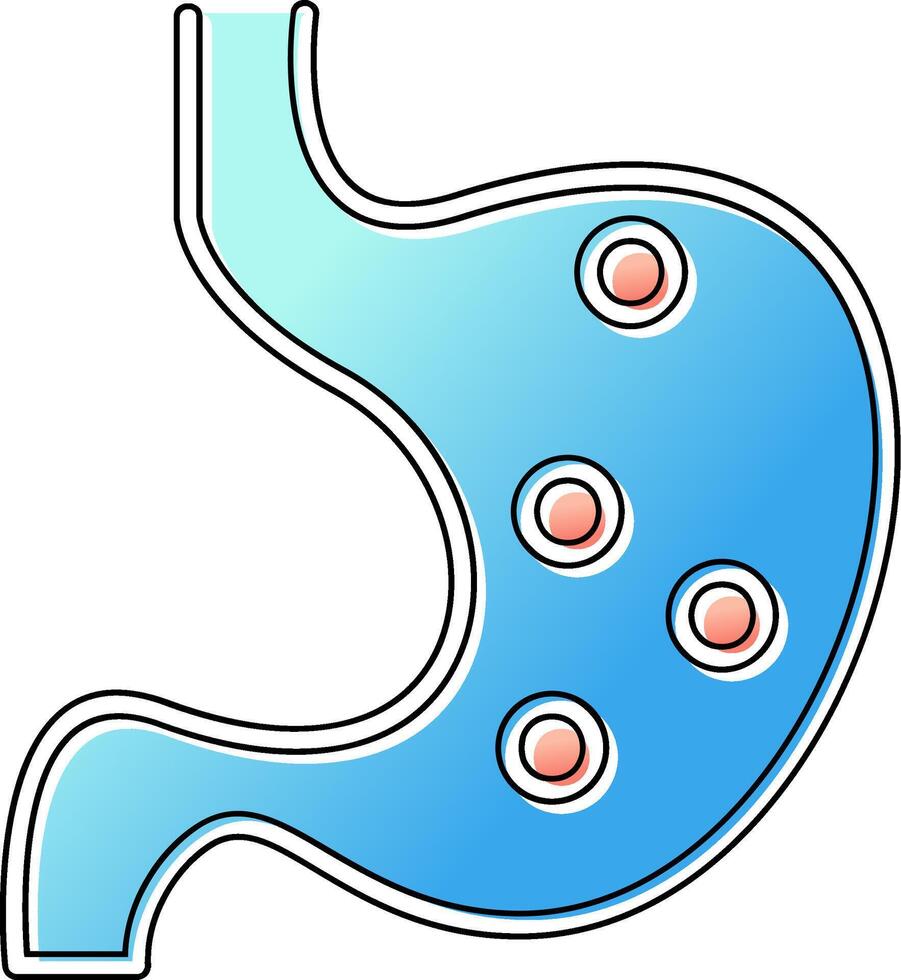 Stomach Vector Icon