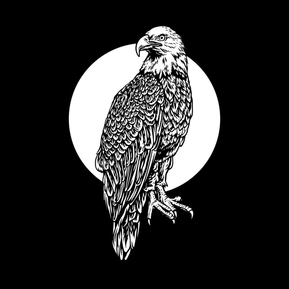 Eagle isolated on black background vector