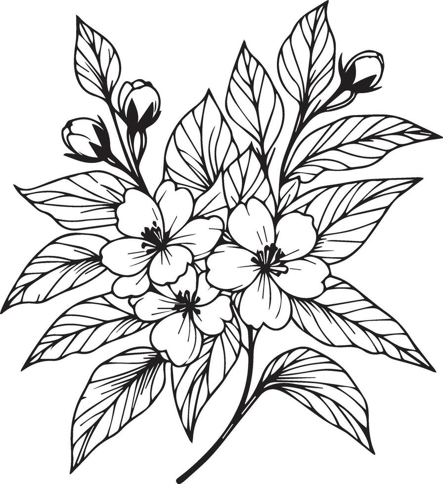 Flower coloring page and books, monochrome vector sketch, jasmine flower sketch, jasmine flower vector, floral background with jasmine flower natural leaf collection