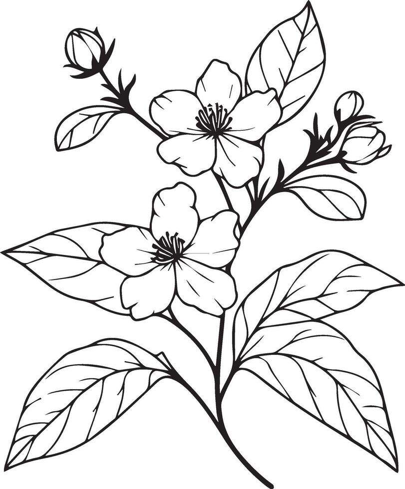 Unique flower coloring pages, Hand-drawn vector illustration of a garden variety of jasmine flowers and outline illustration, gerdenia Flowers Wall Decor, jasmine flower art of printeble template,