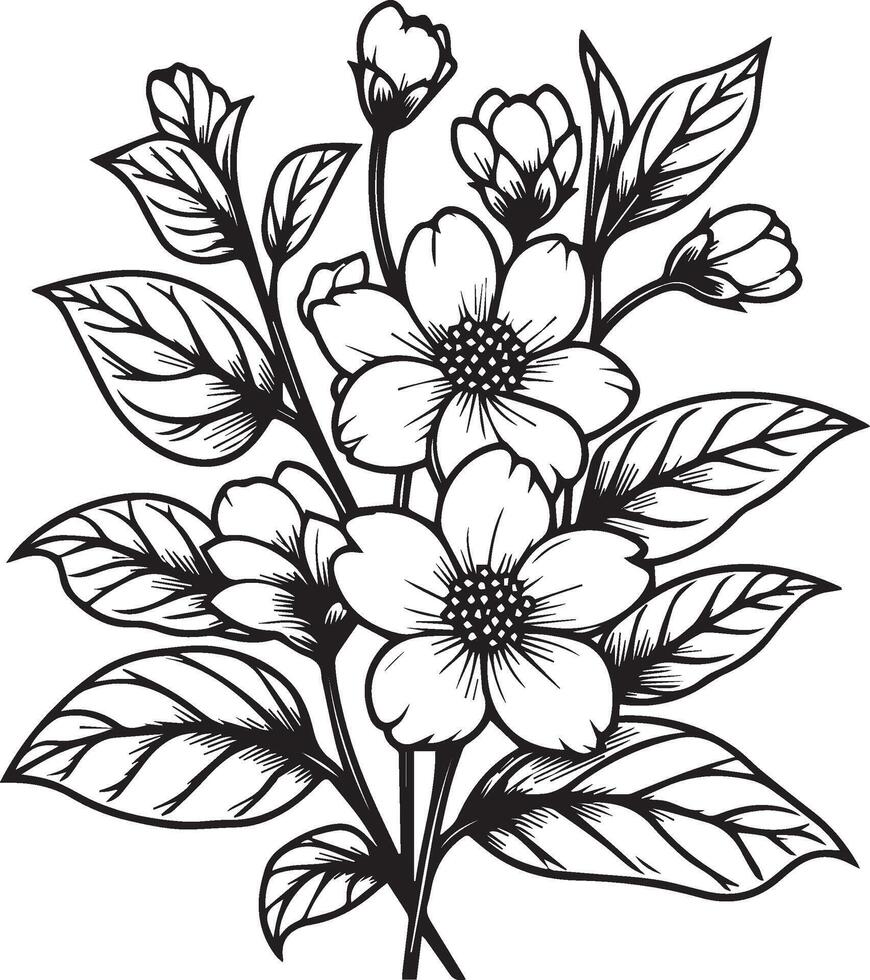 line art simple jasmine flower drawing, realistic jasmine flower pencil drawing, arabian jasmine jasmine flower tattoo, minimalist outline jasmine flower tattoo black and white vector