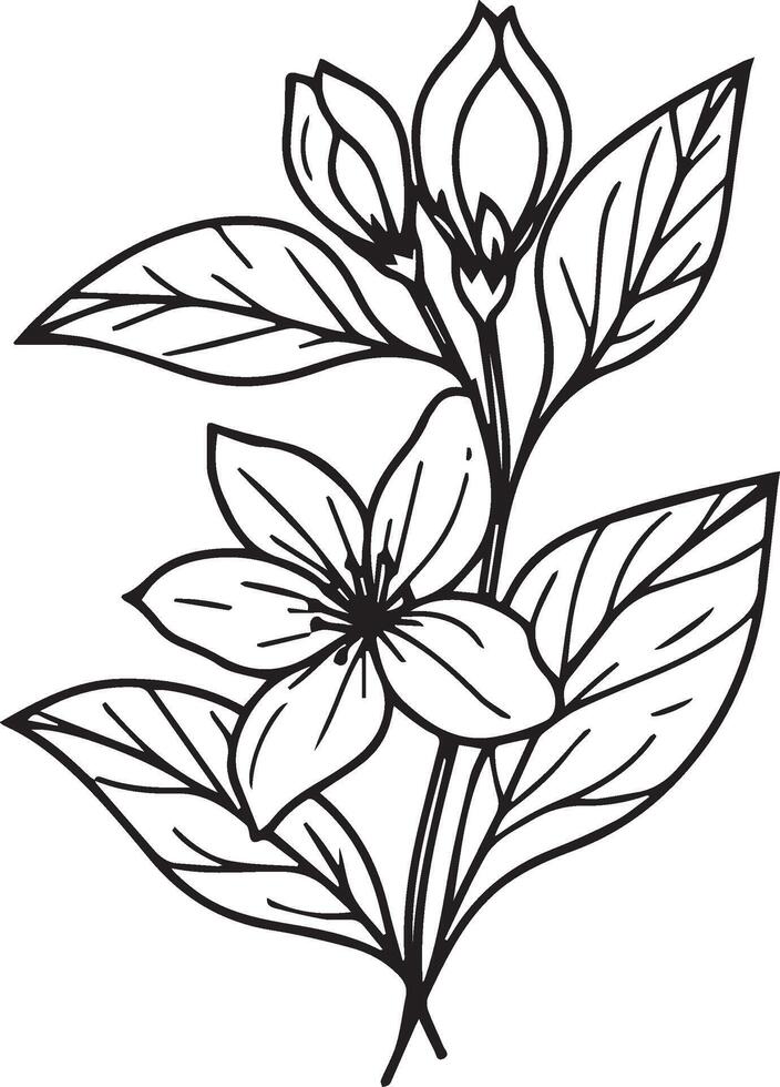 Single line drawing of beauty fresh jasmine for home wall art decor. Printable poster decorative jasmine flower concept. Modern line drawing jasmine flower design vector