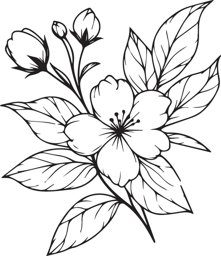 Minimalist outline jasmine flower tattoo, black and white jasmine flower drawing, drawing botanical jasmine flower, scientific jasmine botanical illustration, star jasmine botanical illustration vector