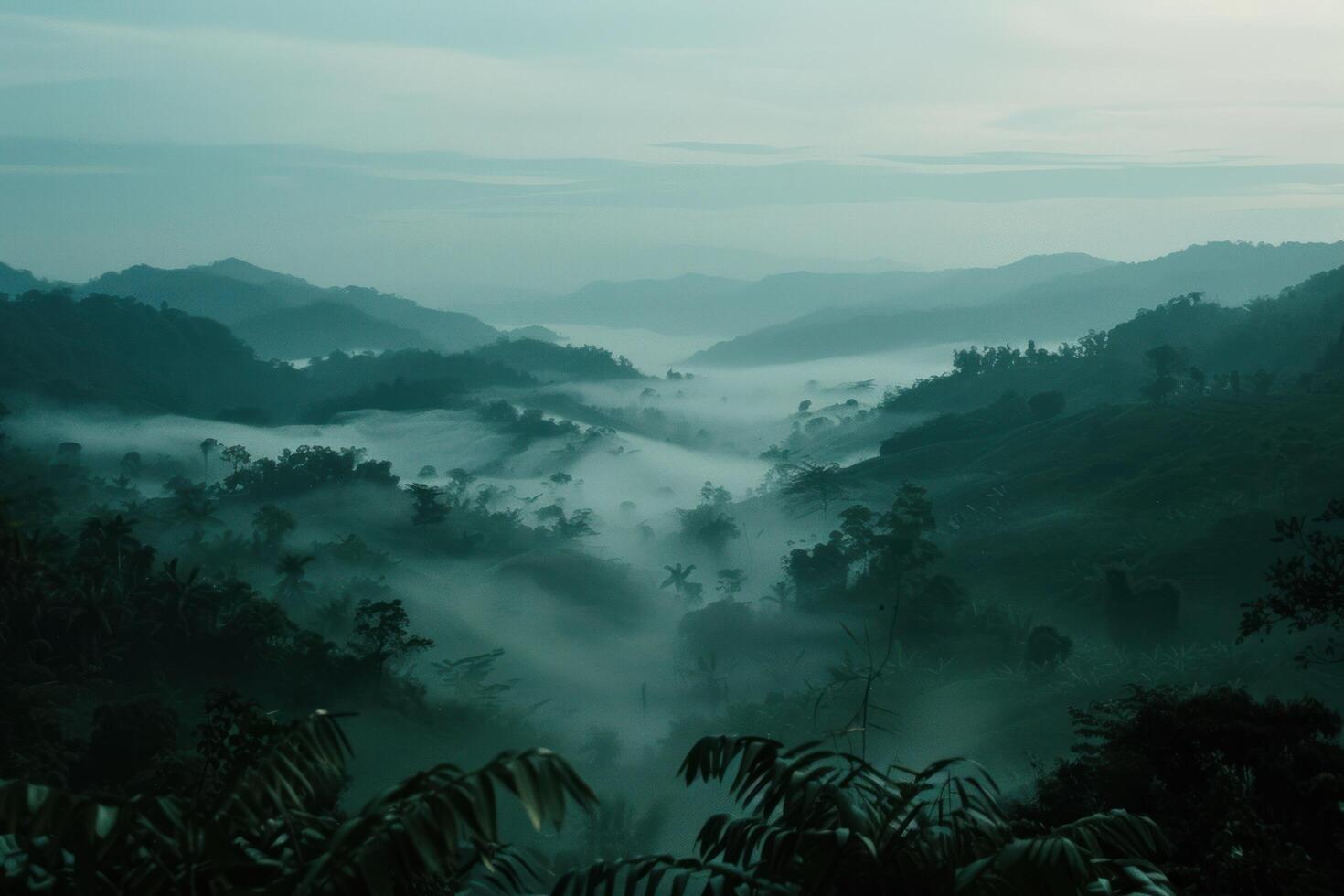 AI generated a view of a valley surrounded by fog photo