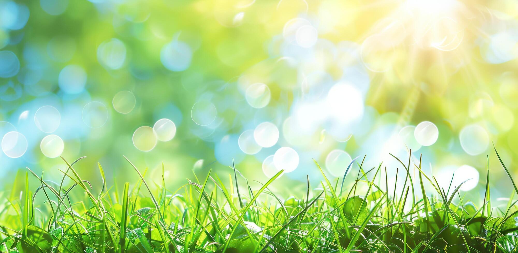 AI generated green grass and blue sky background photo