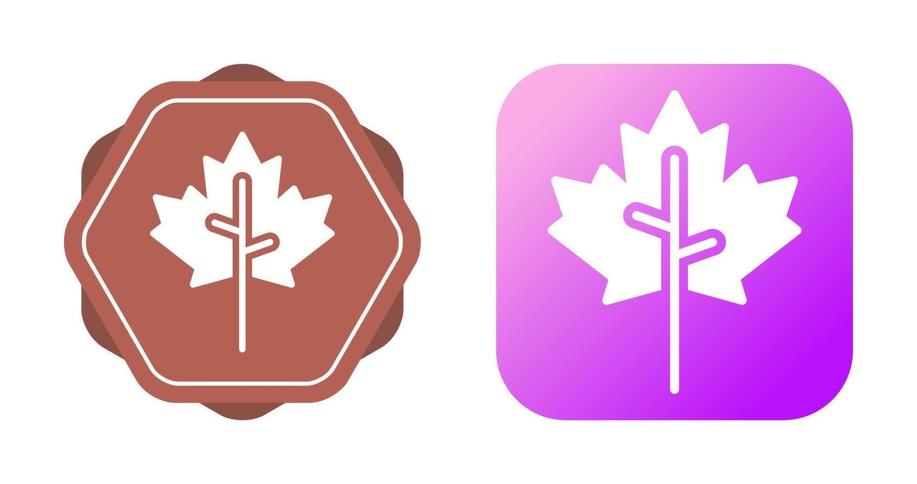 Maple leaf Vector Icon