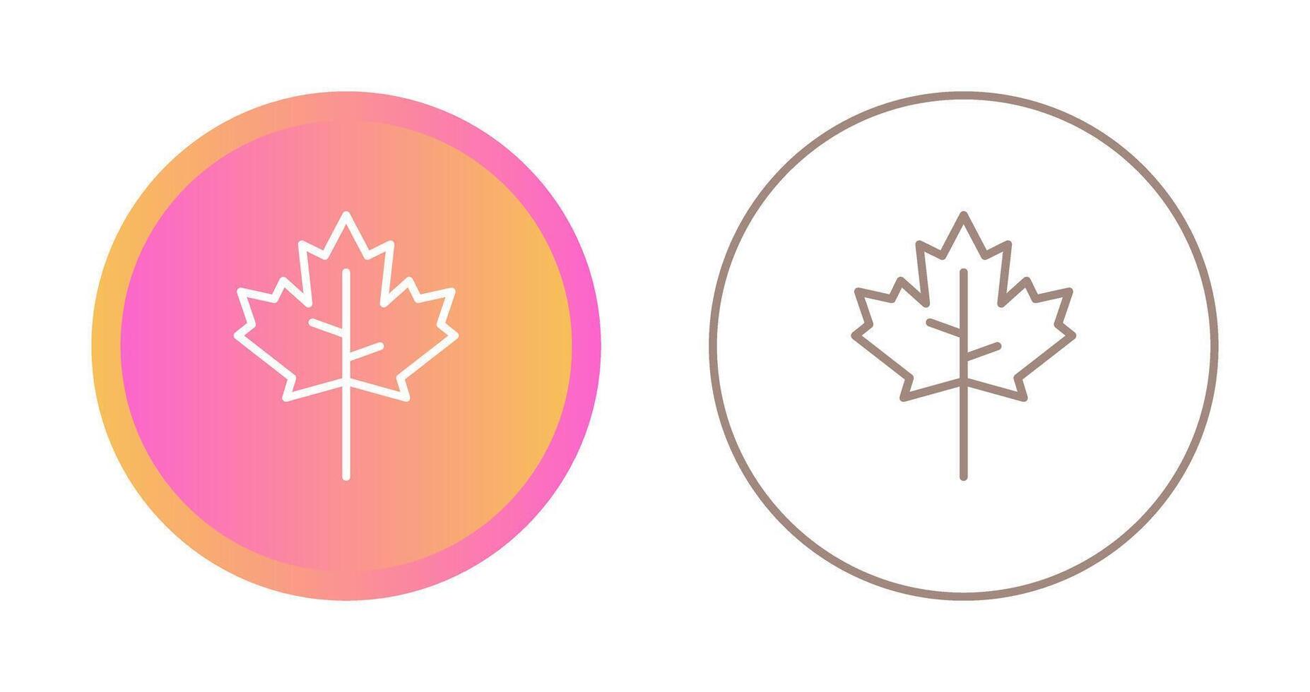 Maple leaf Vector Icon