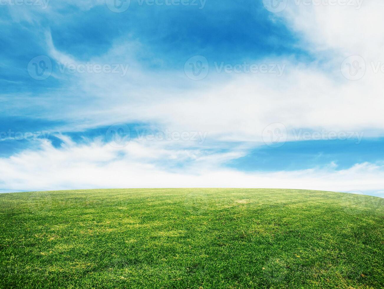 grass and sky photo