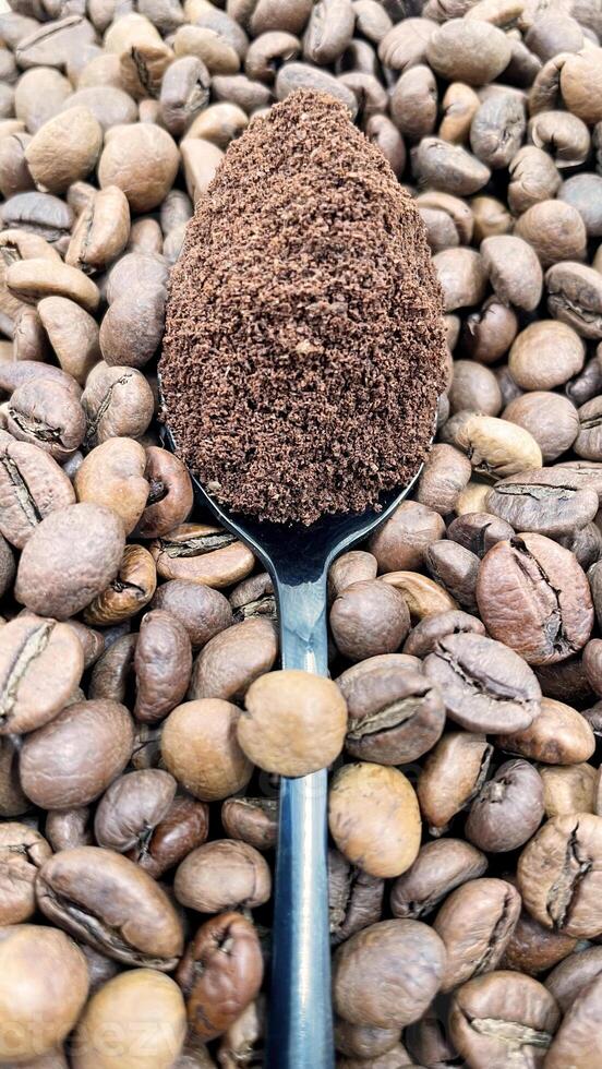 Against the background of roasted aromatic coffee beans lies a metal spoon filled with ground coffee. A drink made from roasted and ground beans from the coffee tree or coffee bush. photo