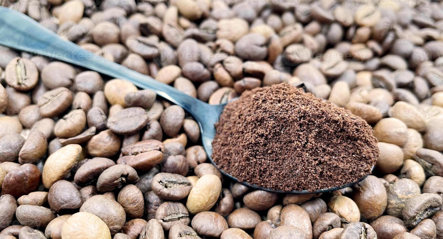 Ground coffee powder in a metal spoon in the foreground, against the background of roasted aromatic coffee beans. Coffee concept. photo