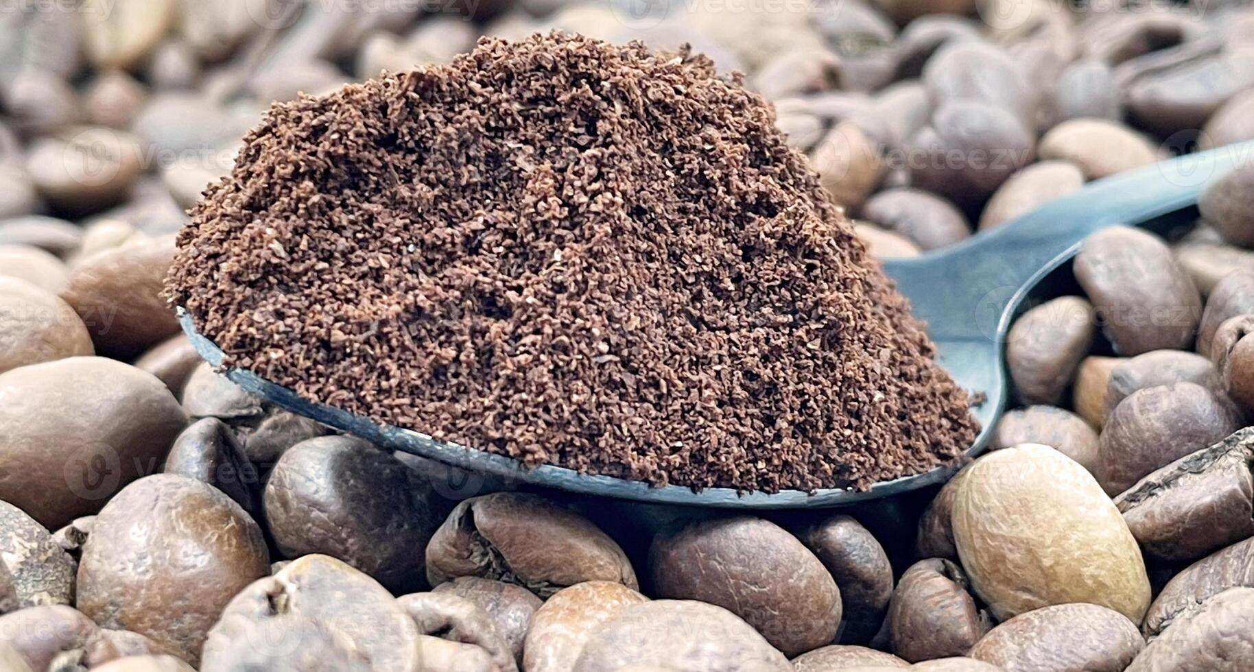 Against the background of roasted aromatic coffee beans lies a metal spoon filled with ground coffee. A drink made from roasted and ground beans from the coffee tree or coffee bush. photo