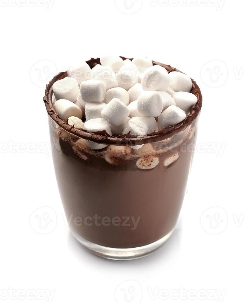 Cup of hot chocolate with marshmallows. photo