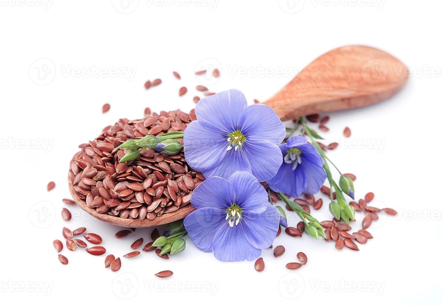 Flax seeds on white backgrounds photo