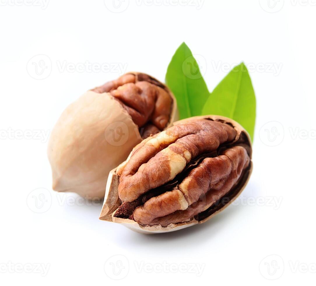 Pecan nuts with leaves on white backgrounds photo