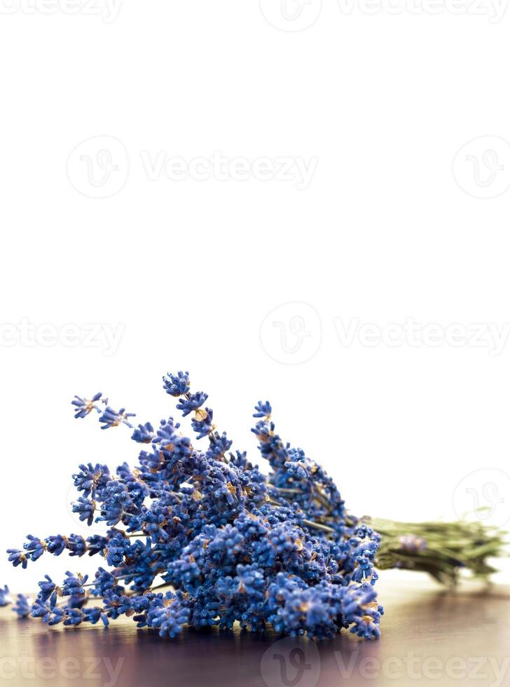 Dry lavender on white photo