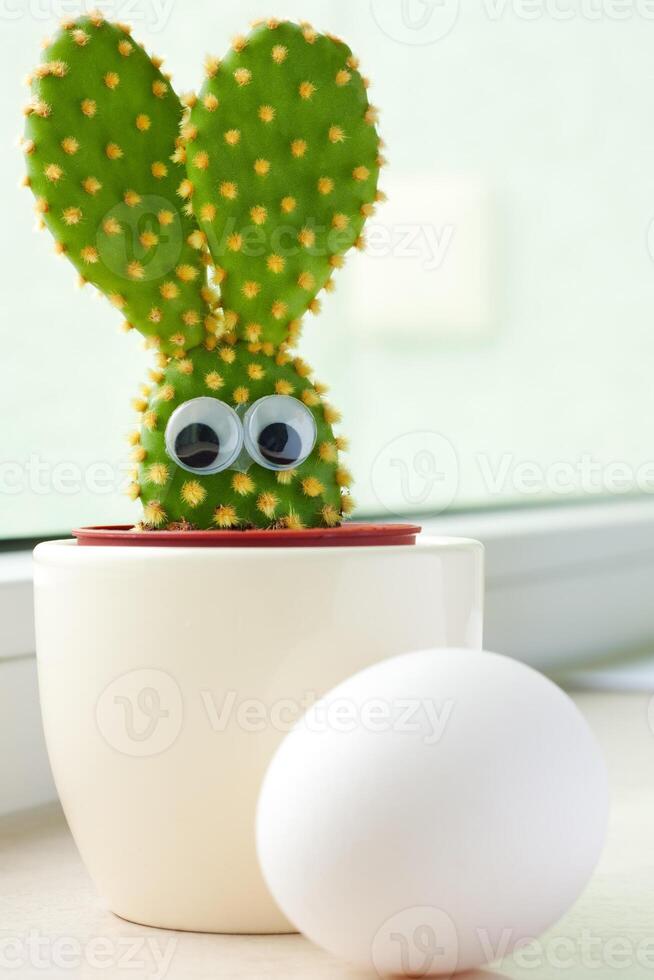 Bunny cactus and egg photo