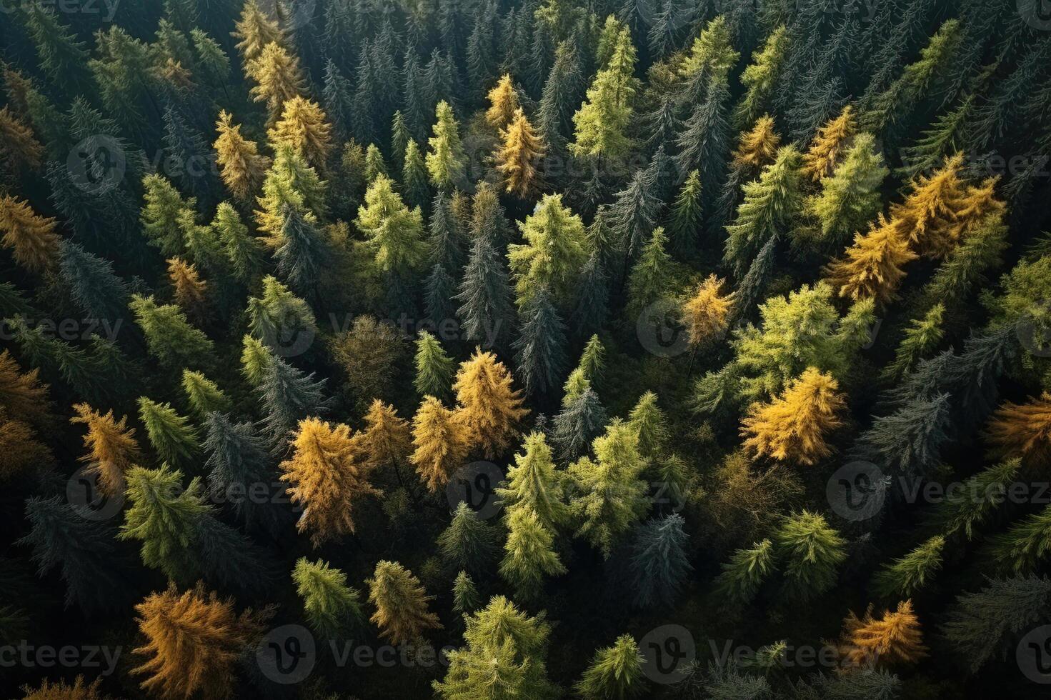 AI generated An Enchanting Canopy Exploring the Verdant Wilderness from Above Created With Generative AI Technology photo